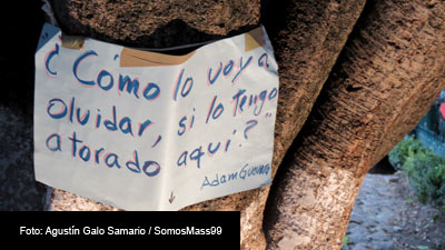 Entres los árboles, mensajes desde la indignación, desde el dolor.