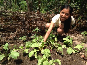 AGRICULTURA-FAMILIAR-FOTO-TOMADA-DE-INTERNET-3