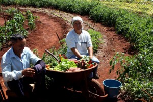 AGRICULTURA-FAMILIAR-FOTO-TOMADA-DE-INTERNET-4