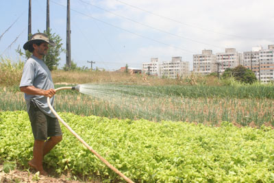 AGRICULTURA-FAMILIAR-FOTO-TOMADA-DE-INTERNET-5