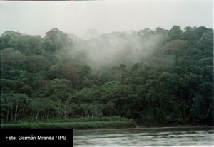 AL-BUSCA-DESCARBONIZAR-FOTO-IPS-GERMAN-MIRANDA-2