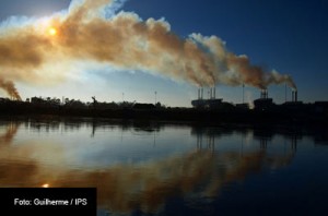 AL-BUSCA-DESCARBONIZAR-FOTO-IPS-GUILHERME-1