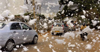 Bangalore-2