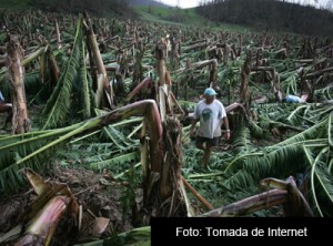 CAMBIO CLIMATICO web 4