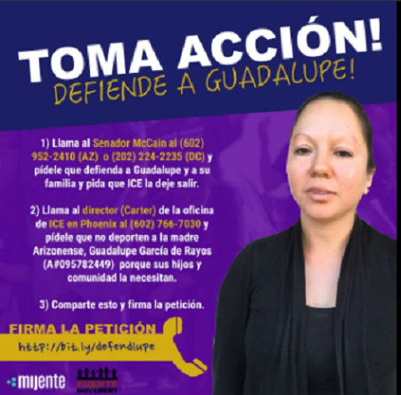 Cartel Guadalupe1