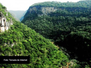Compensacion-Ambiental2