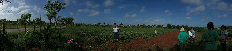 Cuba1