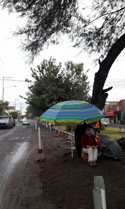 Foto: Agenda Ambiental Irapuato.