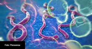 EBOLA-ESPAnA-FOTO-PRESSENZA-3-
