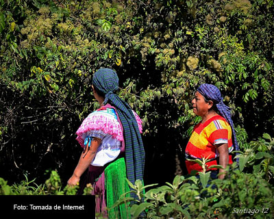 En México poco más de 170 mil personas habían sido desplazadas de sus lugares de origen por la construcción de megaproyectos, hasta 2010, y la cifra sigue en ascenso.