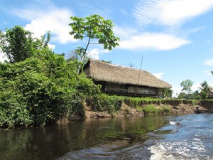 INTERIORES AMAZONIA (1)
