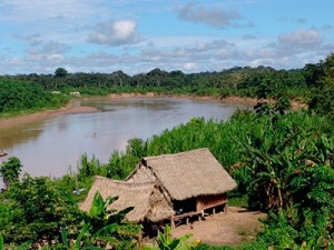 INTERIORES AMAZONIA (3)