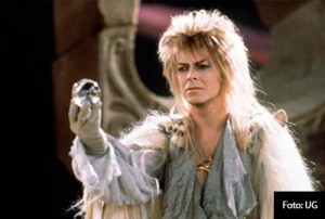 INTERIORES-BOWIE-3