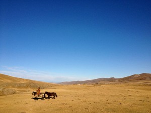 INTERIORES-CAMELOS-QUE-LLORAN-2
