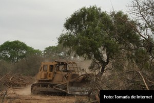 INTERIORES-DESMONTES-3