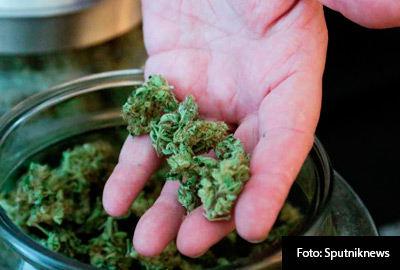 INTERIORES-MARIGUANA-2