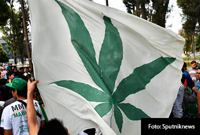 INTERIORES-MARIGUANA-6