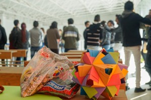 INTERIORES  MARIPOSAS  (6)