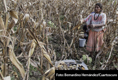 INTERIORES-MUJER-RURAL-2
