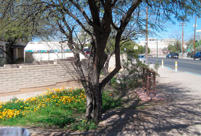 Tucson se debate entre conservar sus tradiciones originales ligadas a México y las políticas antinmigrantes decretadas en Arizona.
