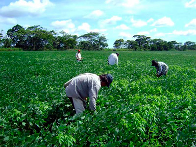 INTERIORES-SOYA-3