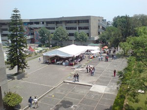 INTERIORES Tessy Lopez Goerne  (1)