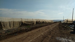 INTERIORES VALLE JORDAN (2)