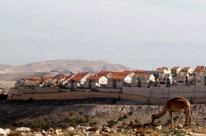 ISRAEL-FOTO-TOMADA-DE-INTERNET-4