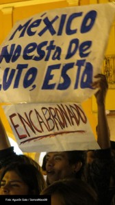 MARCHA-LEON-FOTO-AGUSTIN-GALO-3