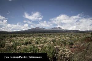 NEVADO-DE-TOLUCA-FOTO-SUBVERSIONES-1