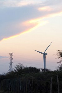 PARQUE-EOLICO-FOTO-CUARTOSCURO-ARTURO-PEREZ-4