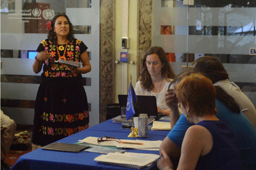 María Isabel Jiménez Salinas, integrante de la Asamblea Popular del Pueblo Juchiteco, ante el Grupo de Trabajo de Naciones Unidas.  Foto: Greta Gómez Rico.
