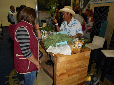 Plantas1