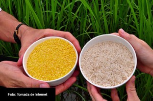 SEGURIDAD-ALIMENTARIA-FOTO-TOMADA-DE-INTERNET-2