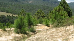 SEMBRADORAS-FOTO-AGUSTIN-GALO-IMG_2235-(10)