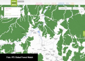 ULTIMOS-BOSQUES-VIRGENES-FOTO-IPS-GLOBAL-FOREST-WATCH-