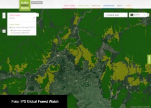 ULTIMOS-BOSQUES-VIRGENES-FOTO-IPS-GLOBAL-FOREST-WATCH--2