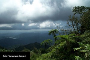 VENCEN-AL-COBRE-FOTO-TOMADA-DE-INTERNET-2