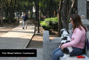VIOLAR-MUJERES-Y-LEYES-CAMARA-DE-DIPUTADOS-FOTO-CUARTOSCURO-MISAEL-VALTIERRA-6