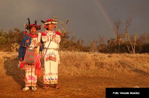 WIXARIKAS-FOTO-VENADO-MESTIZO