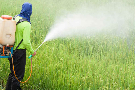 agrotoxicos1