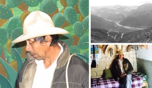 collage1